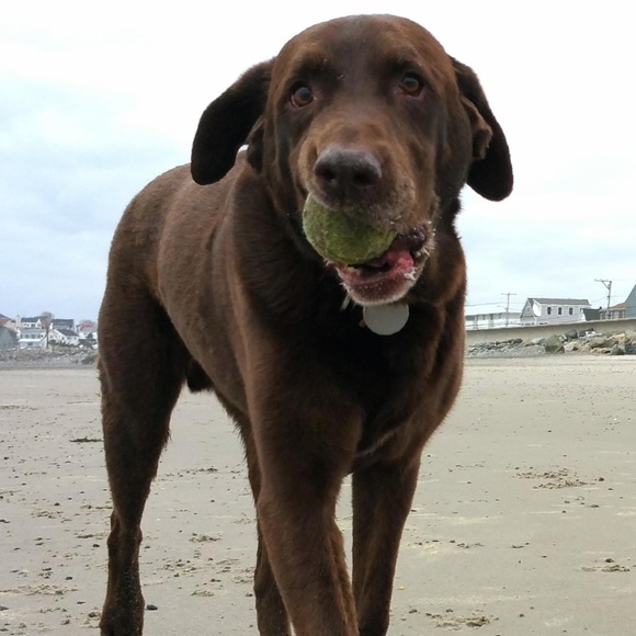 Meet your Posher, Christie - Picture 2 of 8